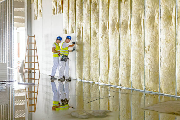 Best Insulation Contractors for Homes  in Washburn, WI